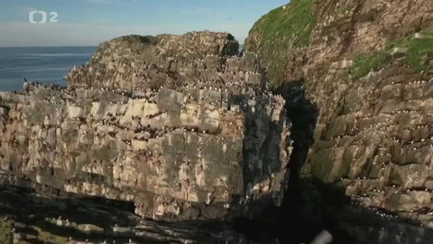 Evropa dnes - Ptačí útes 4