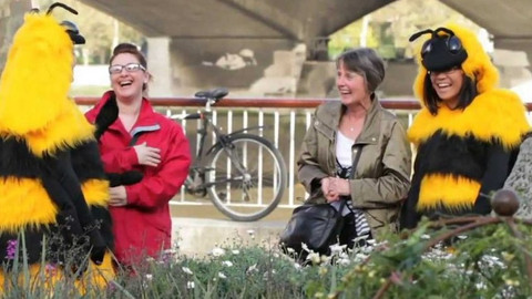 Gejzír - 19. listopadu 2014