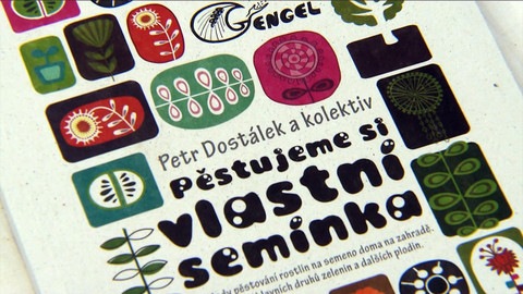 Nedej se! - Zpátky ke kořenům