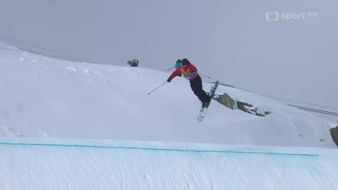 Světový pohár ve freestyle lyžování - Švýcarsko