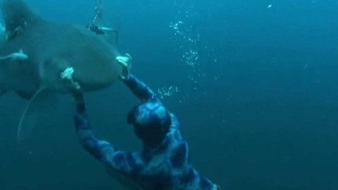 Extrémní sporty - Freediving