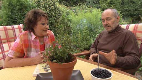 Hobby naší doby - Hobby naší doby - letní speciál