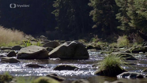 Minuty z přírody - Řeka Vydra