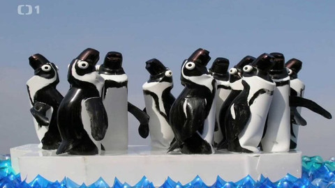 Gejzír - 4. února 2016