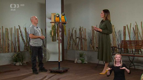 Život na třetí - 8. června 2020