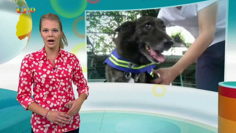 Zprávičky - 12. září 2017