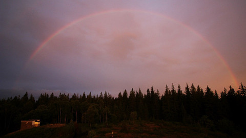 Nedej se! - Roman Szpuk – polemika o ponechání