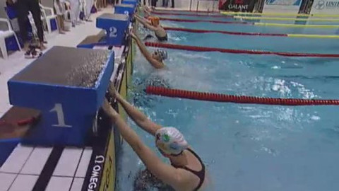 Plavání - Velká cena Brna v plavání