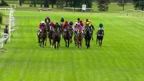 Dostihy - Pardubické rovinové dostihy