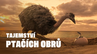 Tajemství ptačích obrů
