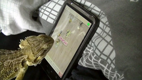 Celnice - 10/13 Ruce v hlavě