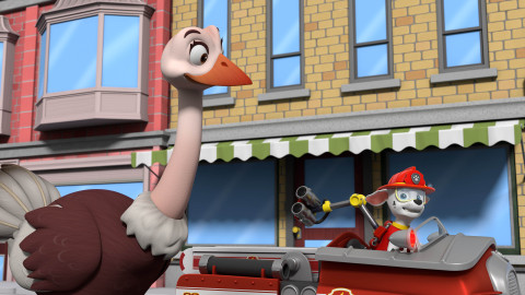 Tlapková patrola - Tlapky zachraňují Alexovy opeřené přátele / Tlapky zachraňují nadýchaného starostu