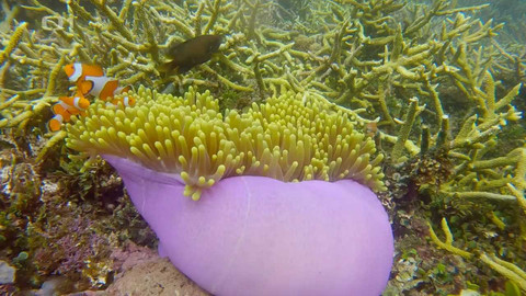 Objektiv - 30. dubna 2023