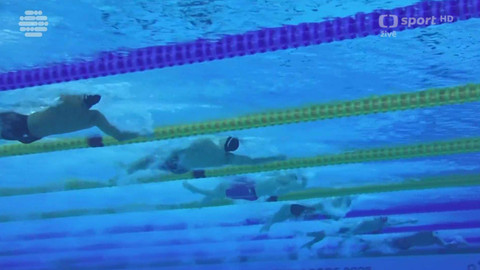 MS v plavání 2025 Singapur - MS Singapur