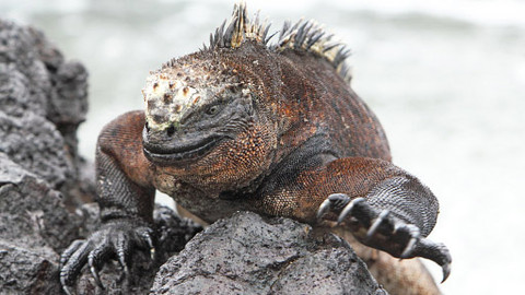 Dobrodruh - Epizoda 9/12