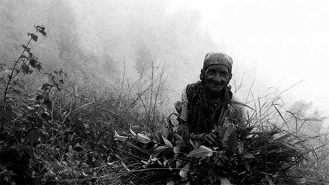 Romaňi luma - Romský svět - 13. července 2012