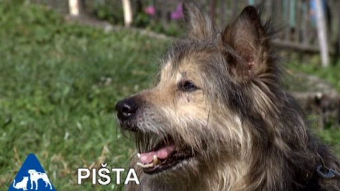 Chcete mě? - Chcete je?