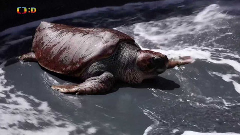 Zprávičky - 11. dubna 2023