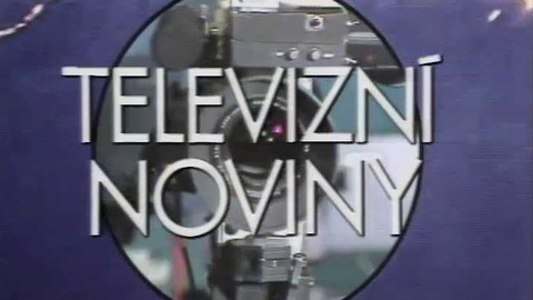 Televizní noviny