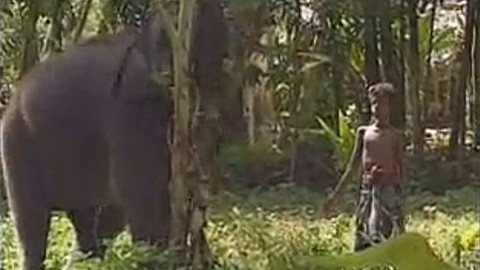 Můj mazlíček - 24/26 Kumara a jeho slon