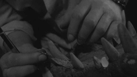 Krajové vysílání - Oprava brněnského krokodýla