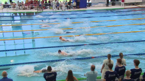 Plavání - Velká cena Pardubic