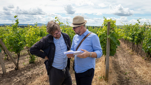 Krajinou vína - 2/10 Modrý Portugal - okolím Klobouk u Brna