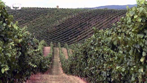 Folklorní magazín - 10. listopadu 2012