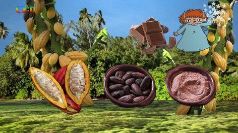 Ty Brďo! - Cukrárna