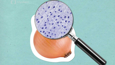 To je něco! - Proč při krájení cibule pláčeme?