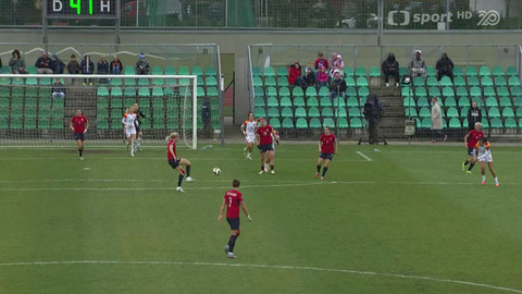 Fotbal - Česko - Černá Hora