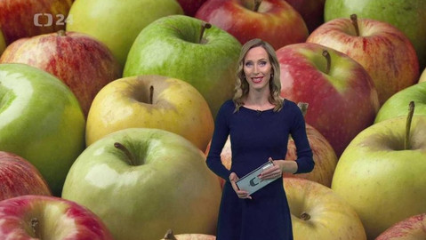 Horizont ČT24 - 24. listopadu 2019