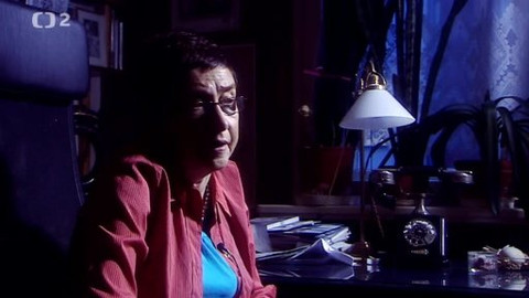 Ta naše povaha česká - Válka pohlaví