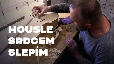 Housle srdcem slepím