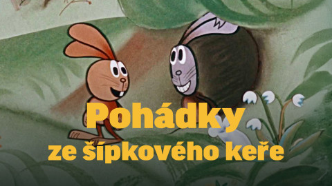 Pohádky ze šípkového keře