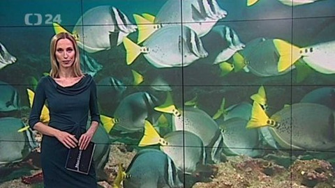 Horizont ČT24 - 15. března 2015