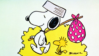 Snoopy, vrať se