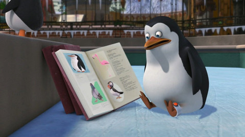 Tučňáci z Madagaskaru - Nestvůrná nesatka / Pozor, dozor!