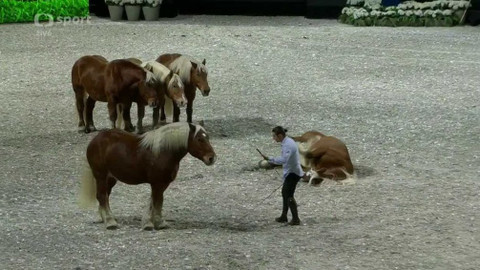 Global Champions - Global Champions Prague PlayOffs 2019