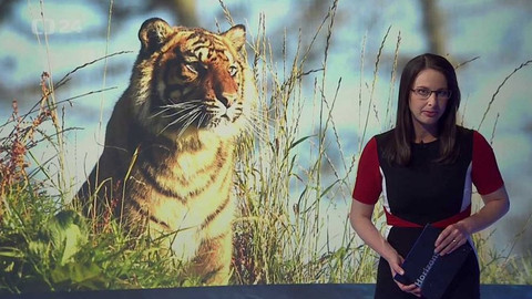 Horizont ČT24 - 11. dubna 2016