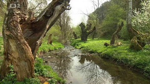 Nedej se! - Spolek versus stát