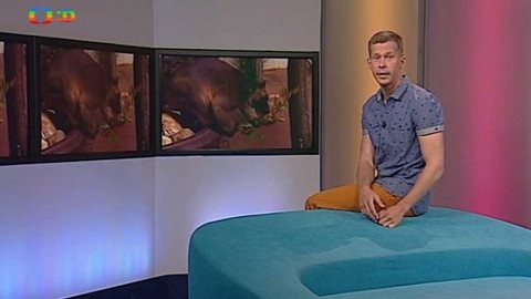 Zprávičky - 10. června 2015