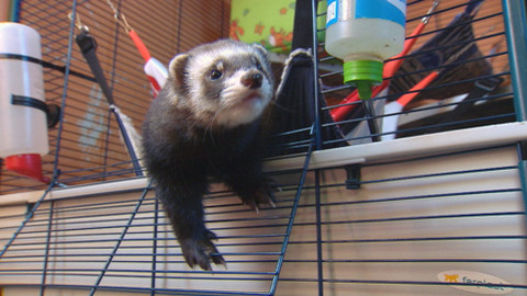 Chcete mě? - 12. října 2014