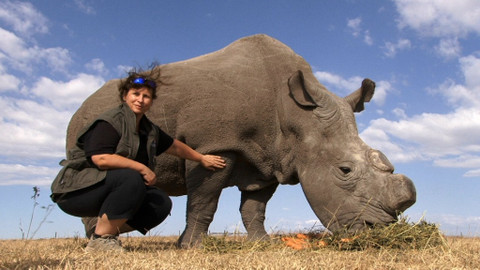 Chcete mě? - 24. dubna 2016