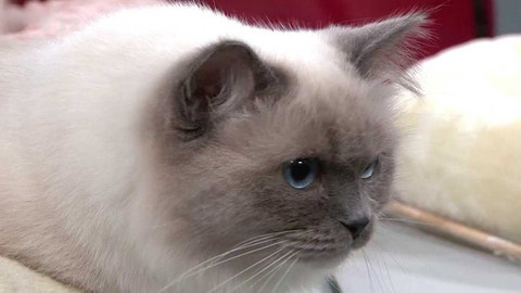 Dobré ráno - 13. října 2021