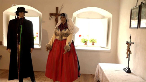 Toulavá kamera - 20. února 2022