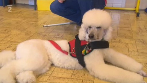 Klíč - 30. března 2010