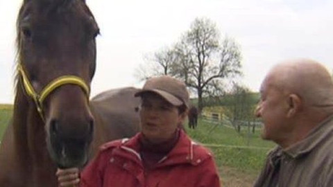 Chcete mě? - 21. května 2010