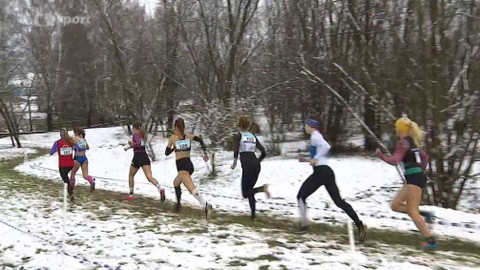 Atletika - MČR v přespolním běhu