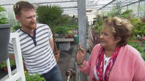 Hobby naší doby - Letní speciál